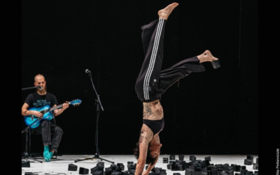 Bravo aux lauréats du circus next !